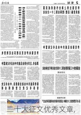 二十大征文优秀文章,-第2张图片-安安范文网