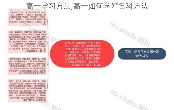 高一学习方法,高一如何学好各科方法-第2张图片-安安范文网