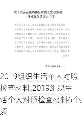 2019组织生活个人对照检查材料,2019组织生活个人对照检查材料6个必须-第3张图片-安安范文网