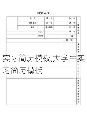 实习简历模板,大学生实习简历模板-第3张图片-安安范文网