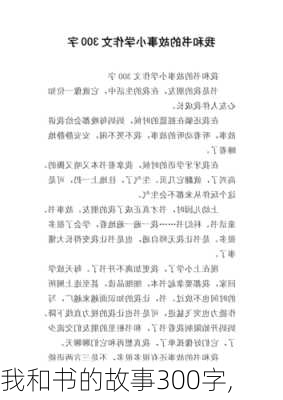 我和书的故事300字,