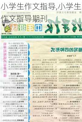 小学生作文指导,小学生作文指导期刊-第3张图片-安安范文网