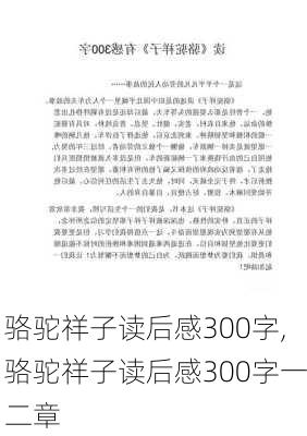 骆驼祥子读后感300字,骆驼祥子读后感300字一二章