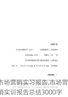 市场营销实习报告,市场营销实训报告总结3000字-第3张图片-安安范文网