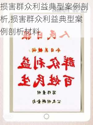 损害群众利益典型案例剖析,损害群众利益典型案例剖析材料-第2张图片-安安范文网