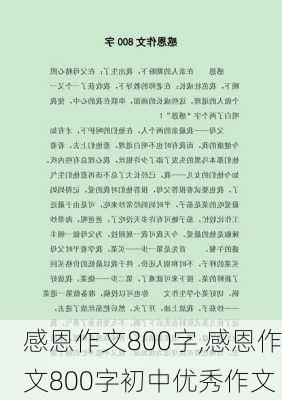 感恩作文800字,感恩作文800字初中优秀作文-第3张图片-安安范文网