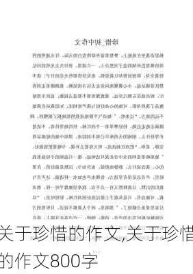 关于珍惜的作文,关于珍惜的作文800字-第2张图片-安安范文网