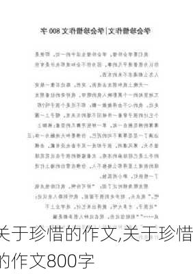 关于珍惜的作文,关于珍惜的作文800字-第3张图片-安安范文网