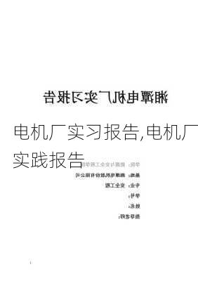 电机厂实习报告,电机厂实践报告-第1张图片-安安范文网