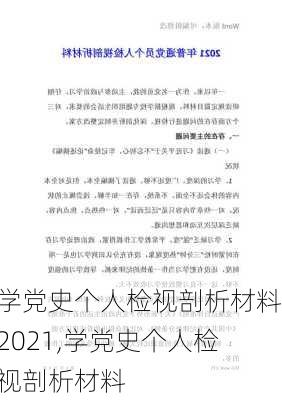 学党史个人检视剖析材料2021,学党史个人检视剖析材料-第2张图片-安安范文网