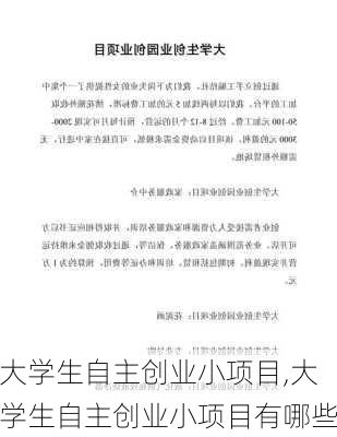 大学生自主创业小项目,大学生自主创业小项目有哪些