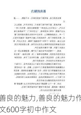 善良的魅力,善良的魅力作文600字初中作文-第3张图片-安安范文网