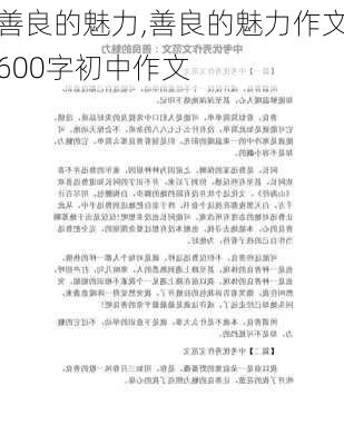 善良的魅力,善良的魅力作文600字初中作文-第2张图片-安安范文网