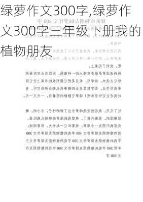 绿萝作文300字,绿萝作文300字三年级下册我的植物朋友