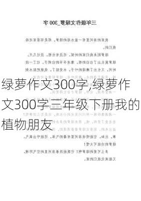 绿萝作文300字,绿萝作文300字三年级下册我的植物朋友-第2张图片-安安范文网