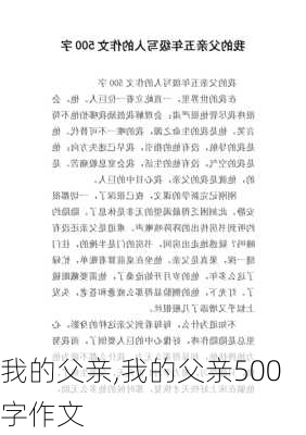 我的父亲,我的父亲500字作文