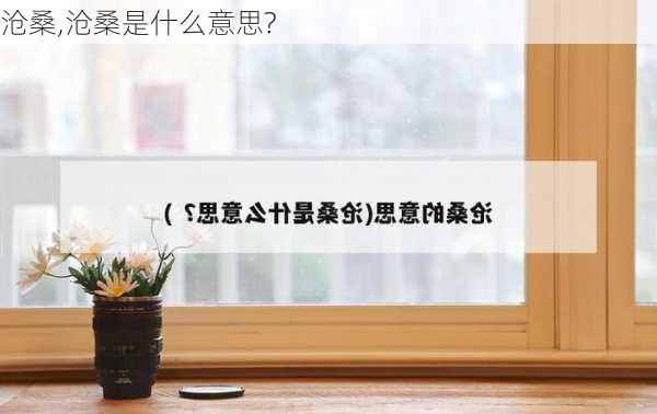 沧桑,沧桑是什么意思?-第1张图片-安安范文网