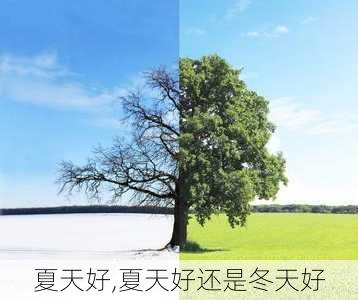 夏天好,夏天好还是冬天好