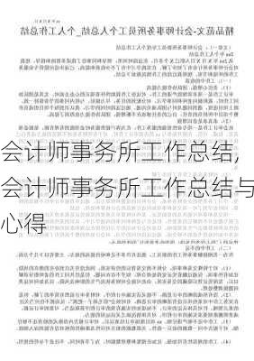 会计师事务所工作总结,会计师事务所工作总结与心得-第2张图片-安安范文网