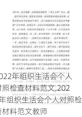 2022年组织生活会个人对照检查材料范文,2022年组织生活会个人对照检查材料范文教师-第3张图片-安安范文网