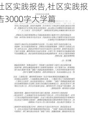 社区实践报告,社区实践报告3000字大学篇-第2张图片-安安范文网