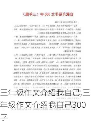 三年级作文介绍我自己,三年级作文介绍我自己300字-第3张图片-安安范文网