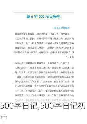 500字日记,500字日记初中-第1张图片-安安范文网