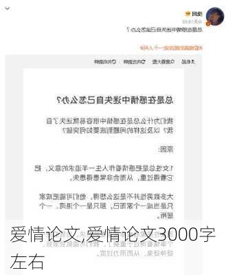 爱情论文,爱情论文3000字左右