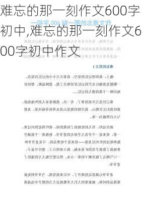 难忘的那一刻作文600字初中,难忘的那一刻作文600字初中作文