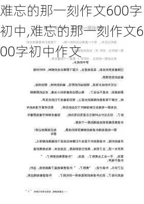 难忘的那一刻作文600字初中,难忘的那一刻作文600字初中作文-第2张图片-安安范文网