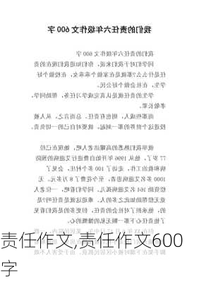 责任作文,责任作文600字-第2张图片-安安范文网