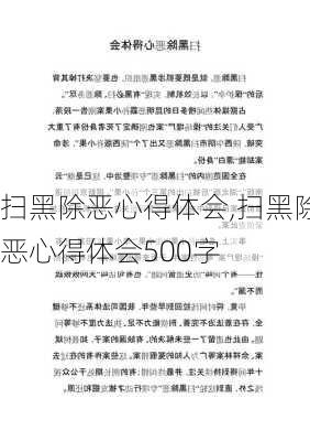 扫黑除恶心得体会,扫黑除恶心得体会500字-第3张图片-安安范文网