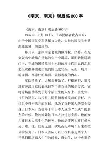 南京南京影评,南京南京影评800字-第1张图片-安安范文网