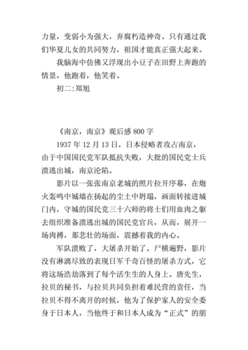 南京南京影评,南京南京影评800字-第2张图片-安安范文网