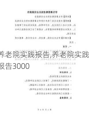 养老院实践报告,养老院实践报告3000