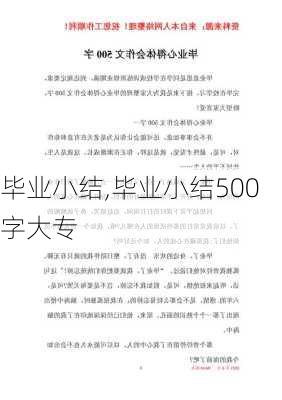 毕业小结,毕业小结500字大专-第3张图片-安安范文网