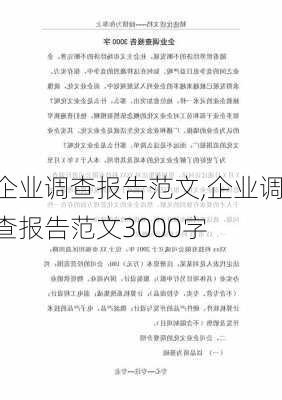 企业调查报告范文,企业调查报告范文3000字