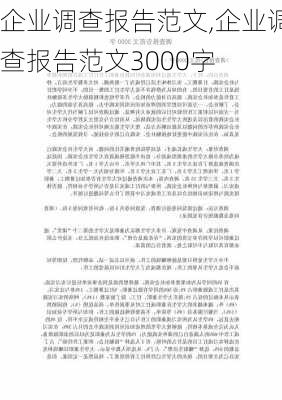 企业调查报告范文,企业调查报告范文3000字-第3张图片-安安范文网