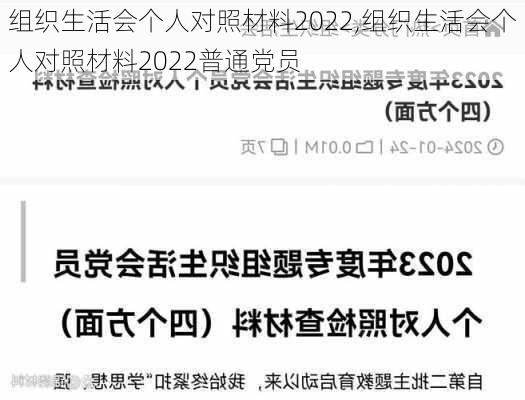 组织生活会个人对照材料2022,组织生活会个人对照材料2022普通党员-第3张图片-安安范文网