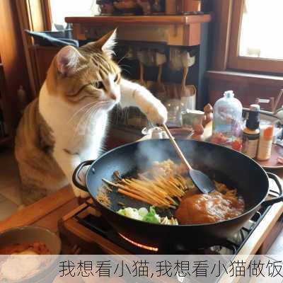 我想看小猫,我想看小猫做饭