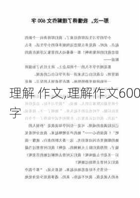 理解 作文,理解作文600字-第3张图片-安安范文网