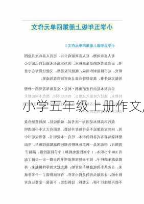 小学五年级上册作文,-第3张图片-安安范文网