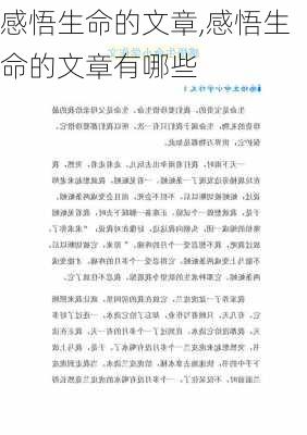 感悟生命的文章,感悟生命的文章有哪些-第2张图片-安安范文网