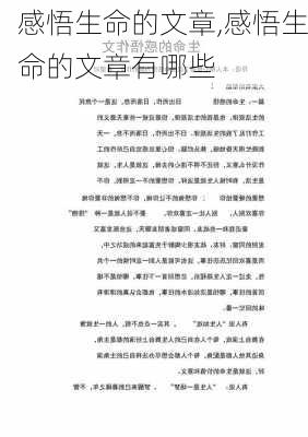 感悟生命的文章,感悟生命的文章有哪些-第1张图片-安安范文网