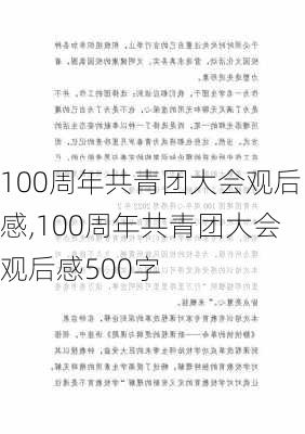 100周年共青团大会观后感,100周年共青团大会观后感500字-第3张图片-安安范文网