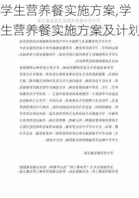 学生营养餐实施方案,学生营养餐实施方案及计划-第2张图片-安安范文网