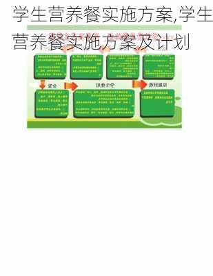 学生营养餐实施方案,学生营养餐实施方案及计划-第3张图片-安安范文网