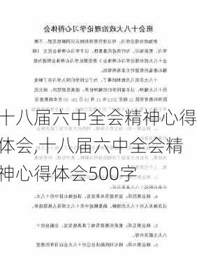 十八届六中全会精神心得体会,十八届六中全会精神心得体会500字-第2张图片-安安范文网