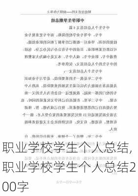 职业学校学生个人总结,职业学校学生个人总结200字-第3张图片-安安范文网