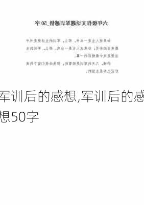 军训后的感想,军训后的感想50字-第2张图片-安安范文网